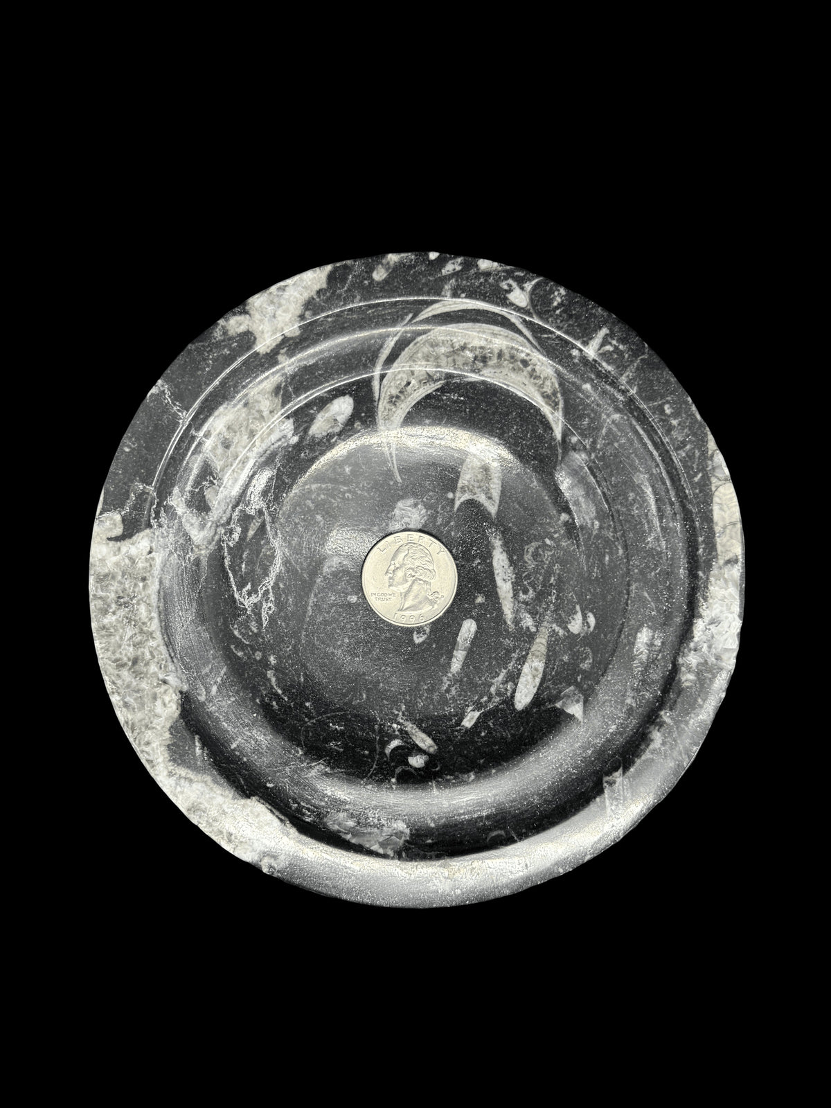 450 Million Years Old Fossil Box
