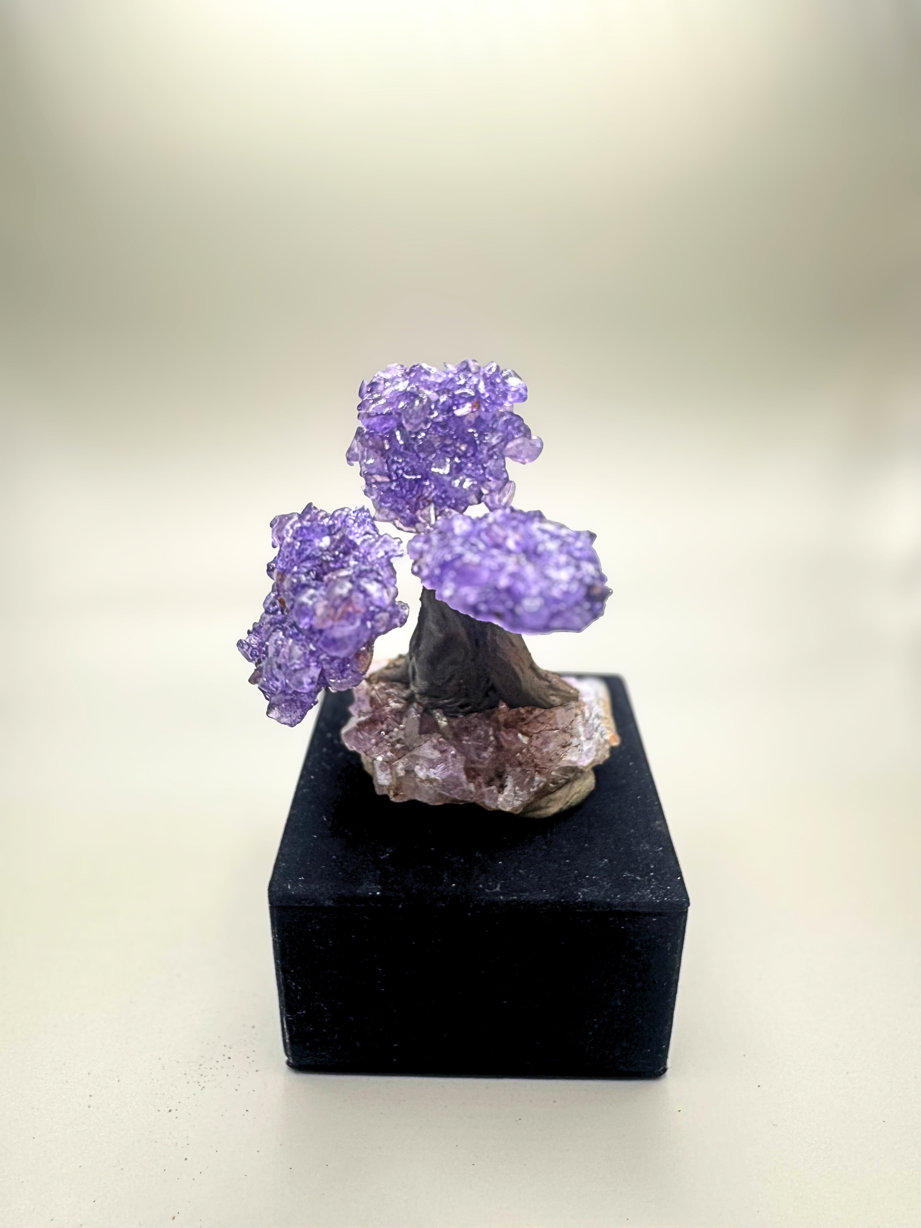 Amythyst tree.
