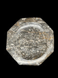 450 Million Years Old Fossil Plate