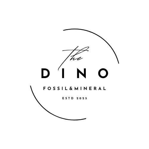 Logo for 'The Dino Fossil & Mineral' with a circular design on a white background.