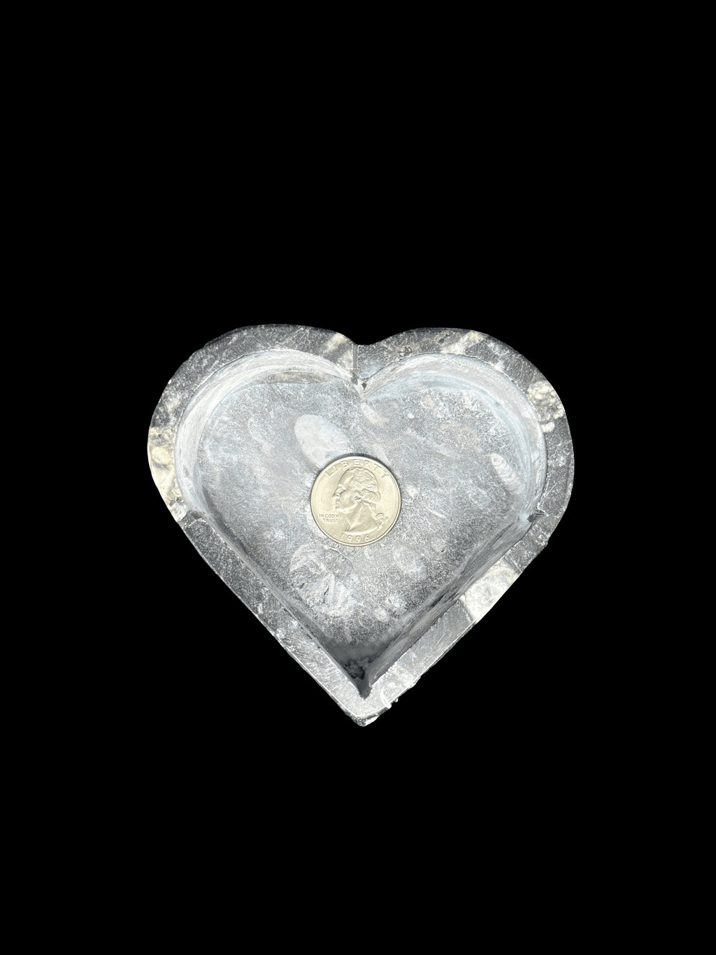 450 Million Years Old Fossil Heart Box