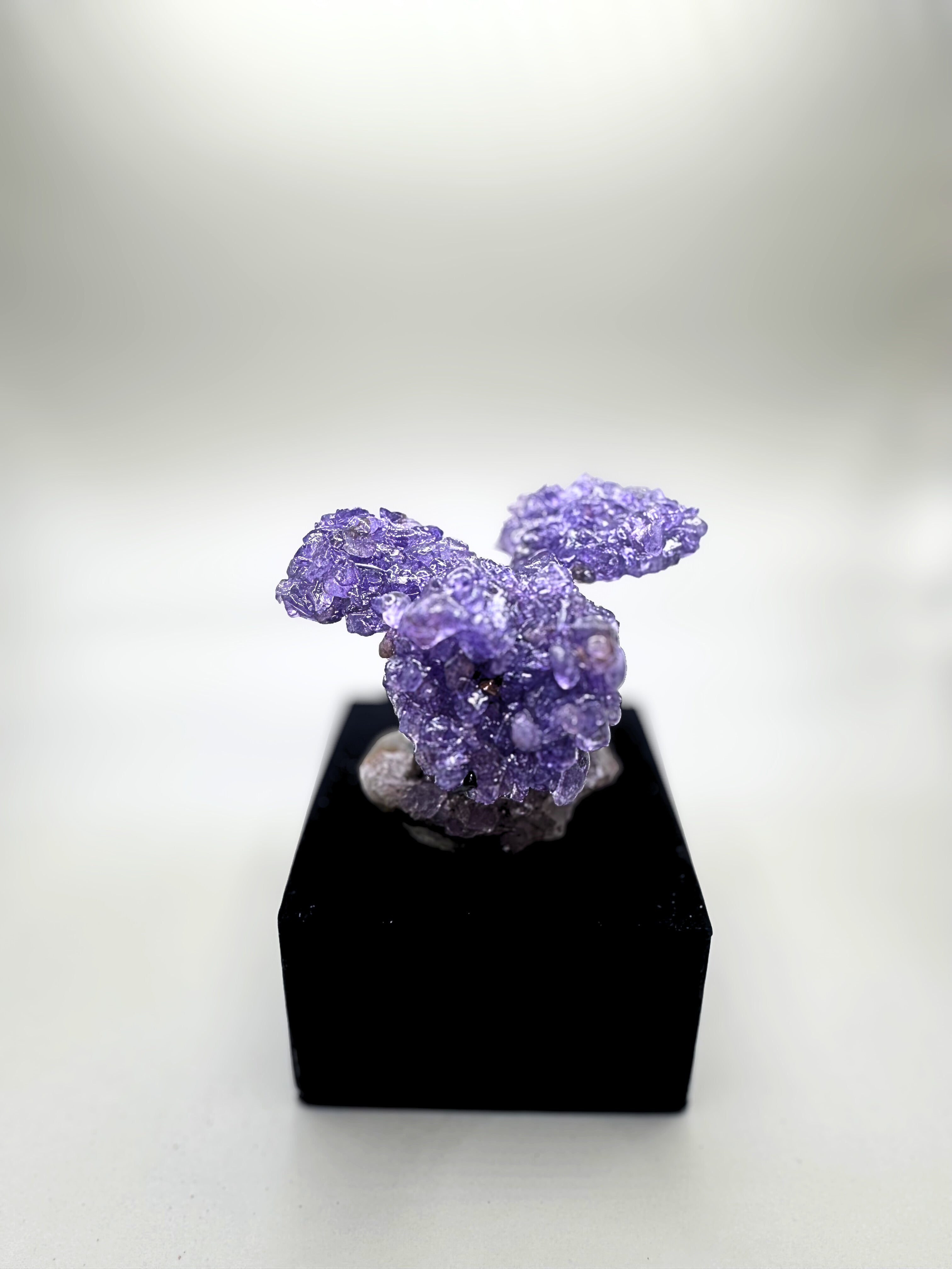 Amythyst tree.
