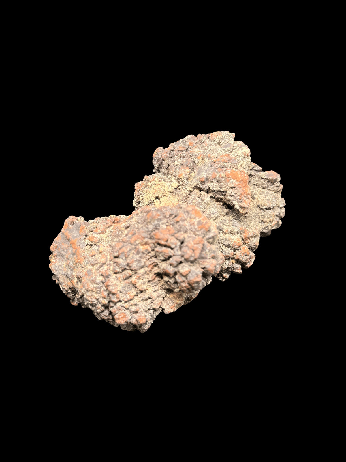 Coprolite Fossilized Dinosaur Dung