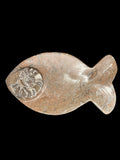 450 Million Years Old Fish Fossil Plate