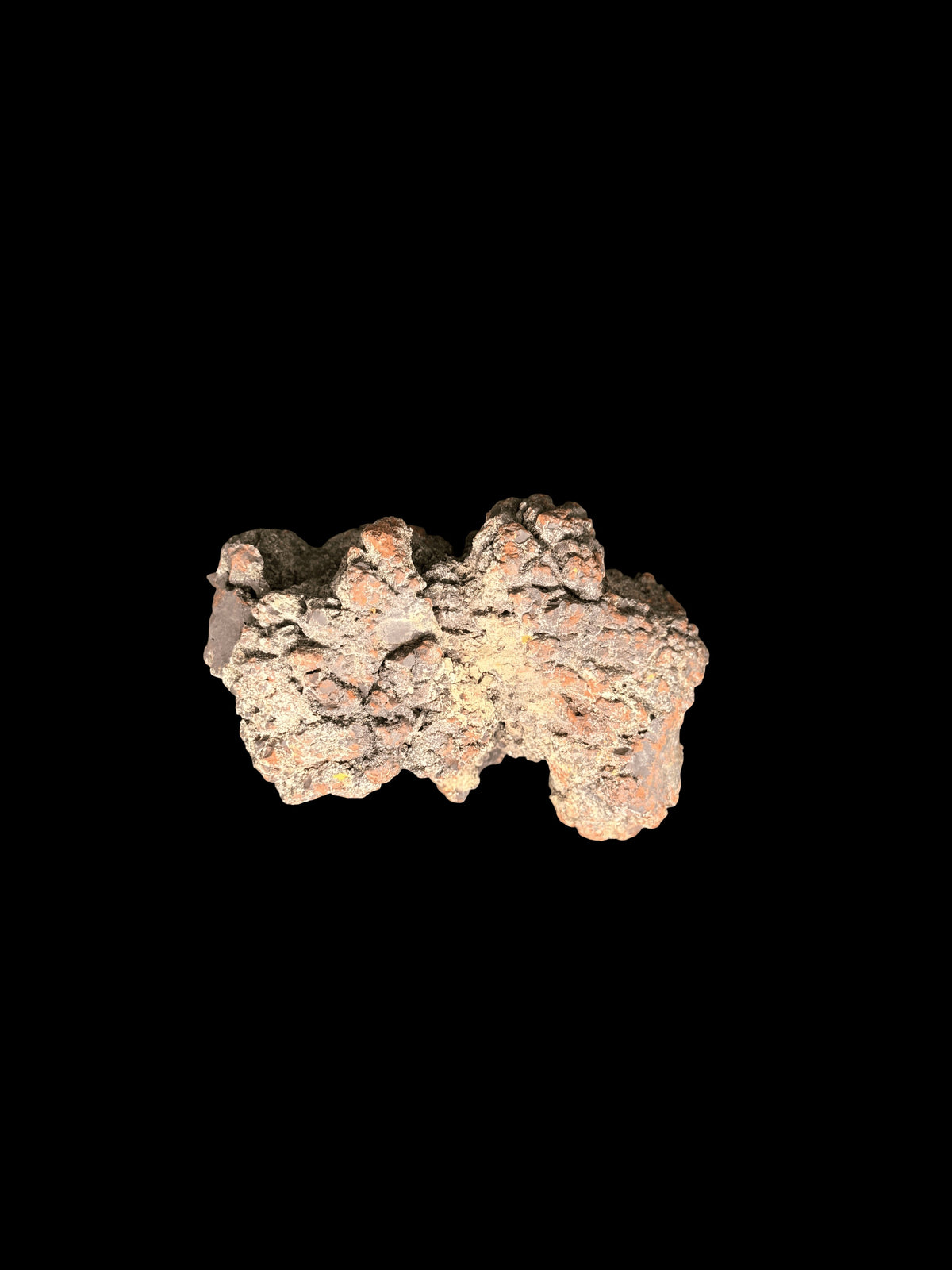 Coprolite Fossilized Dinosaur Dung