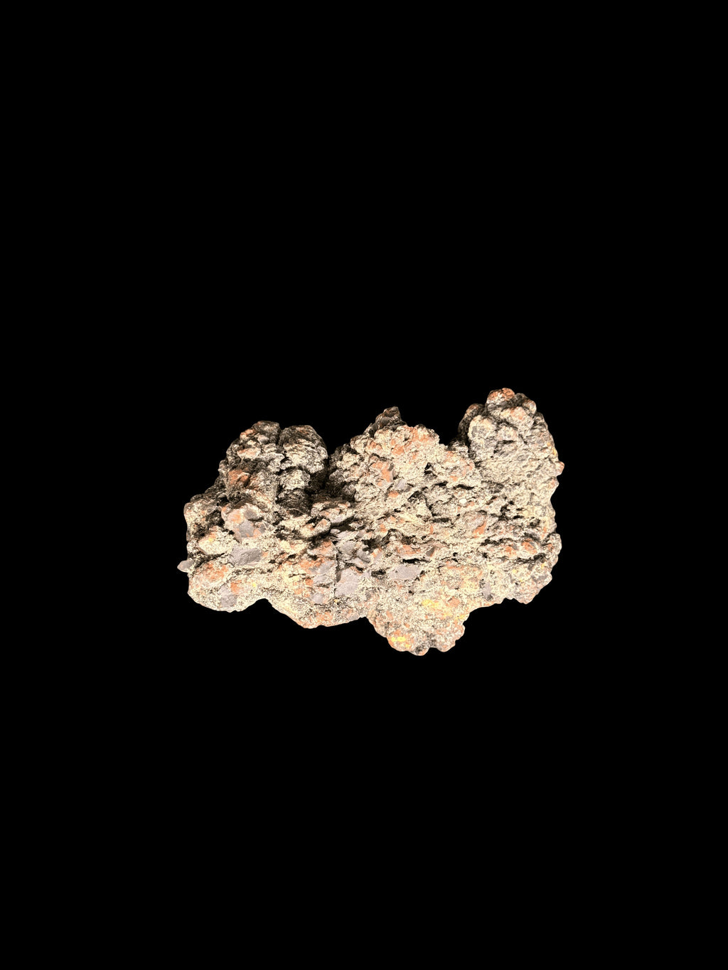 Coprolite Fossilized Dinosaur Dung