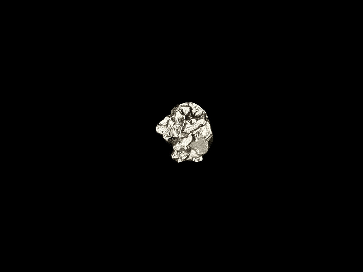 Meteorite Campo Del Cielo