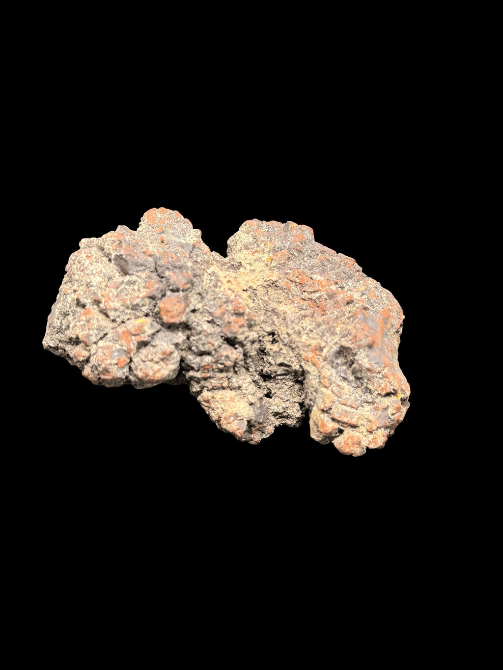 Coprolite Fossilized Dinosaur Dung