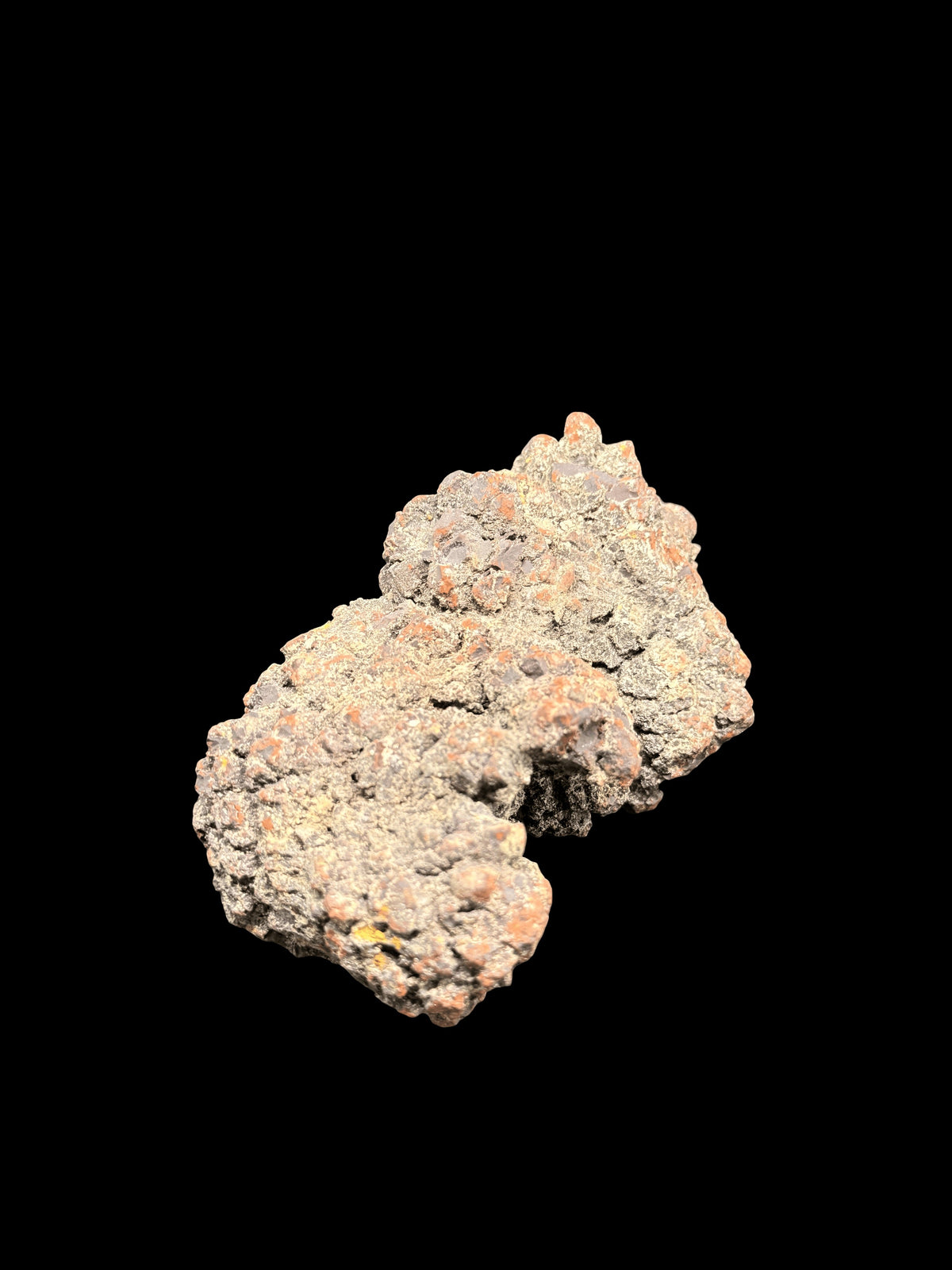 Coprolite Fossilized Dinosaur Dung