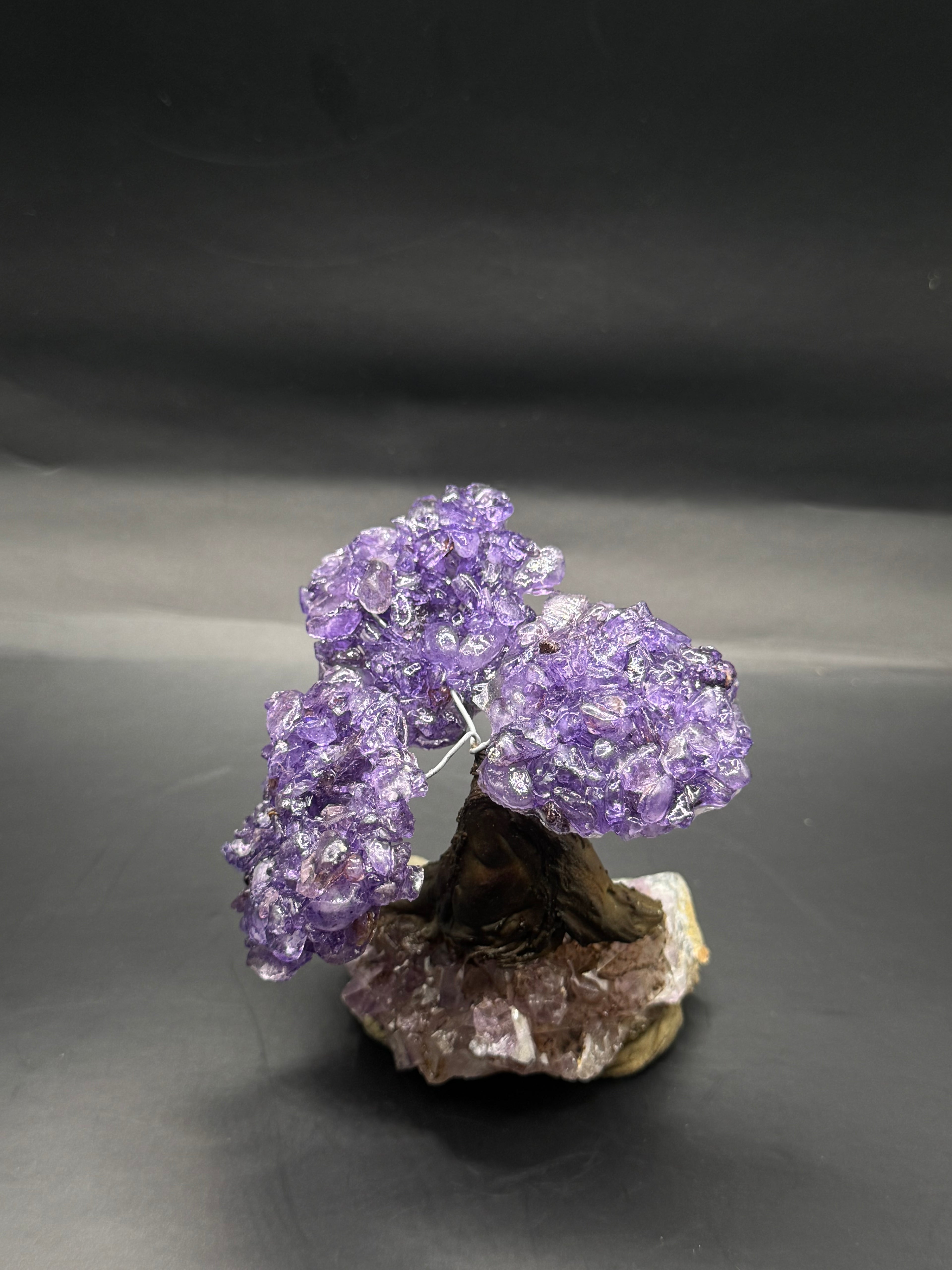 Amythyst tree.