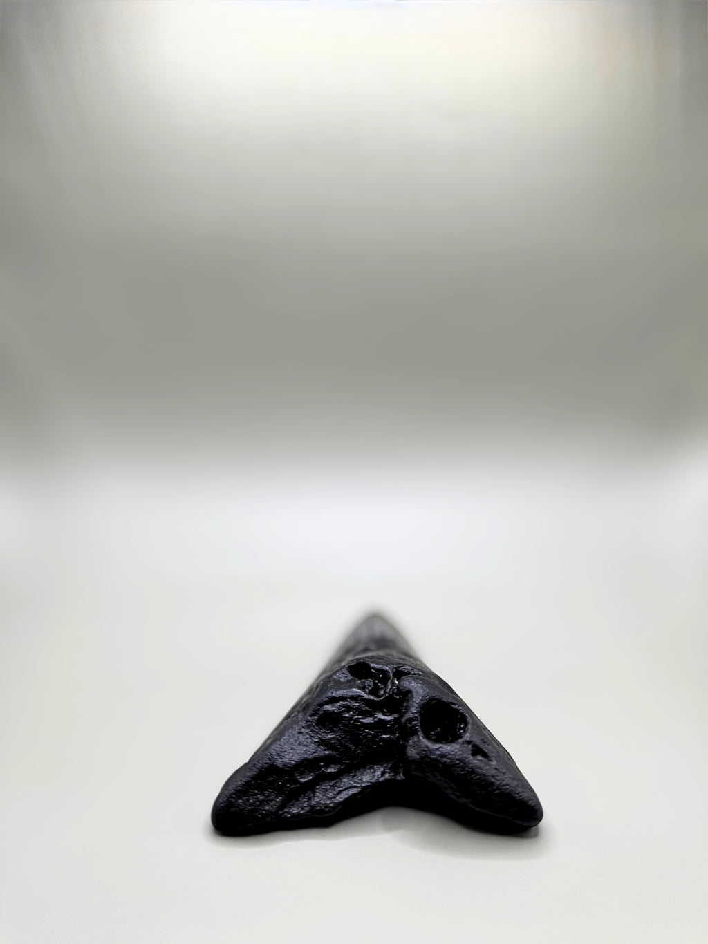 Megalodon tooth